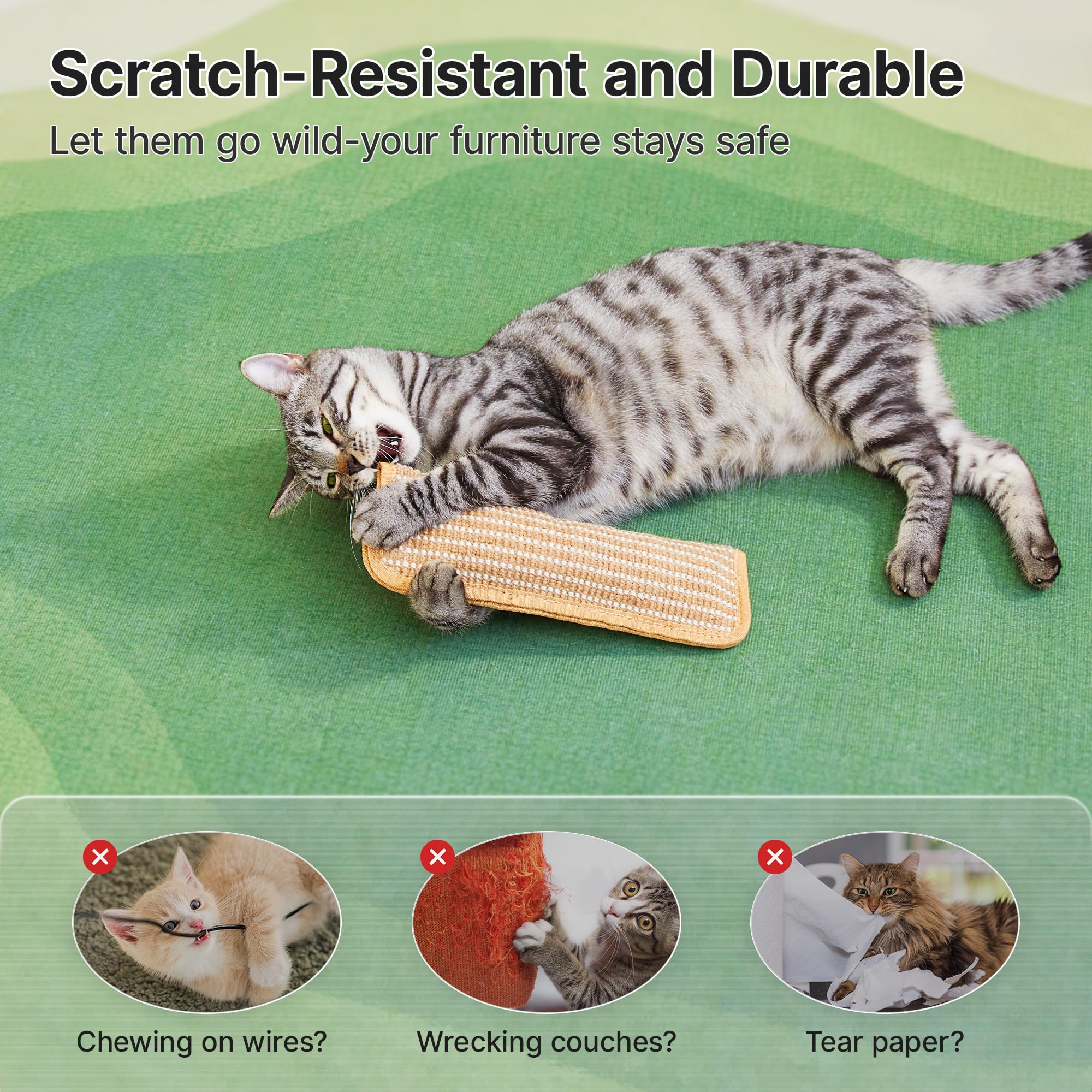 Potaroma regalo ideal para amantes de gatos, seguro y divertido.