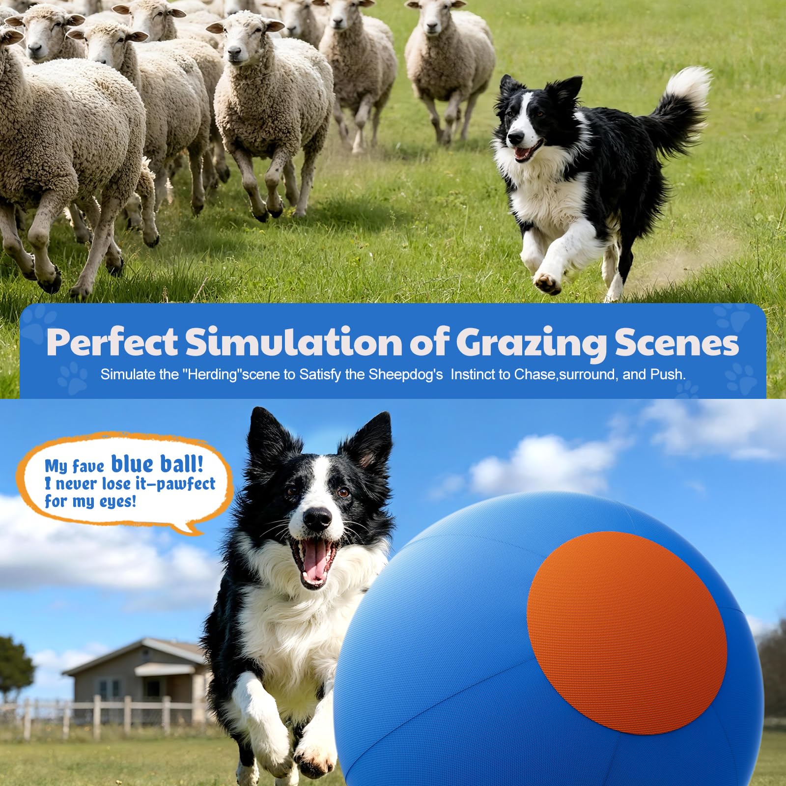 povee Happypaw, pelota para entrenamiento y juegos de persecución y fetch.