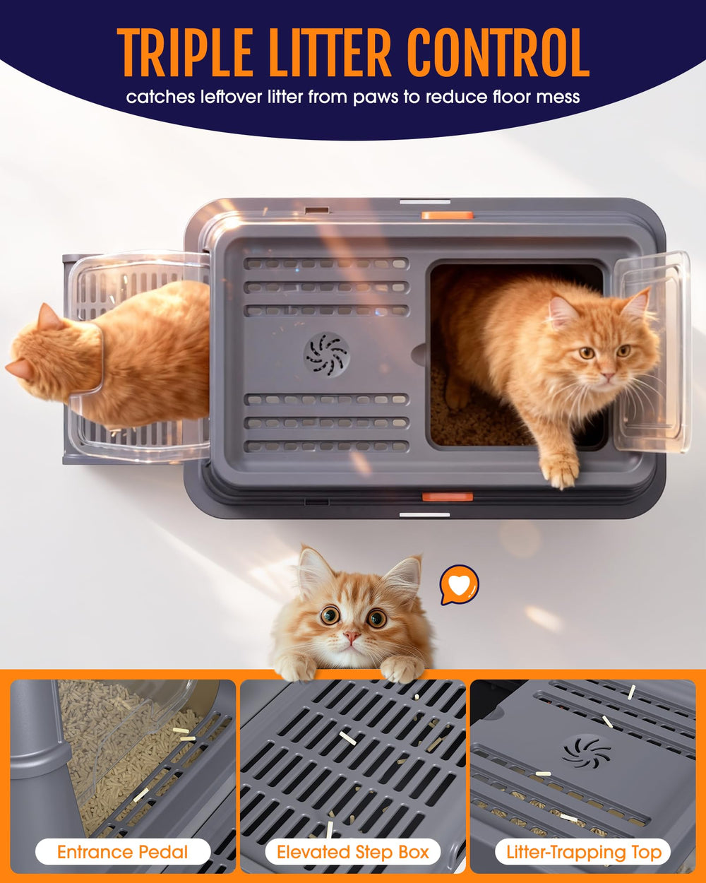 Powools interior amplio de 23.6 por 15.7 pulgadas para confort felino.