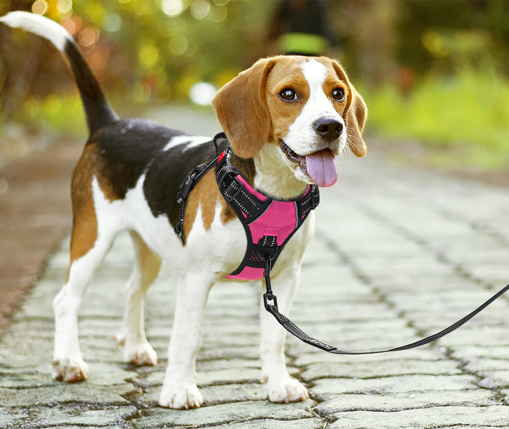 Arnés PoyPet asa de control rosa, agarre cómodo para guiar al perro