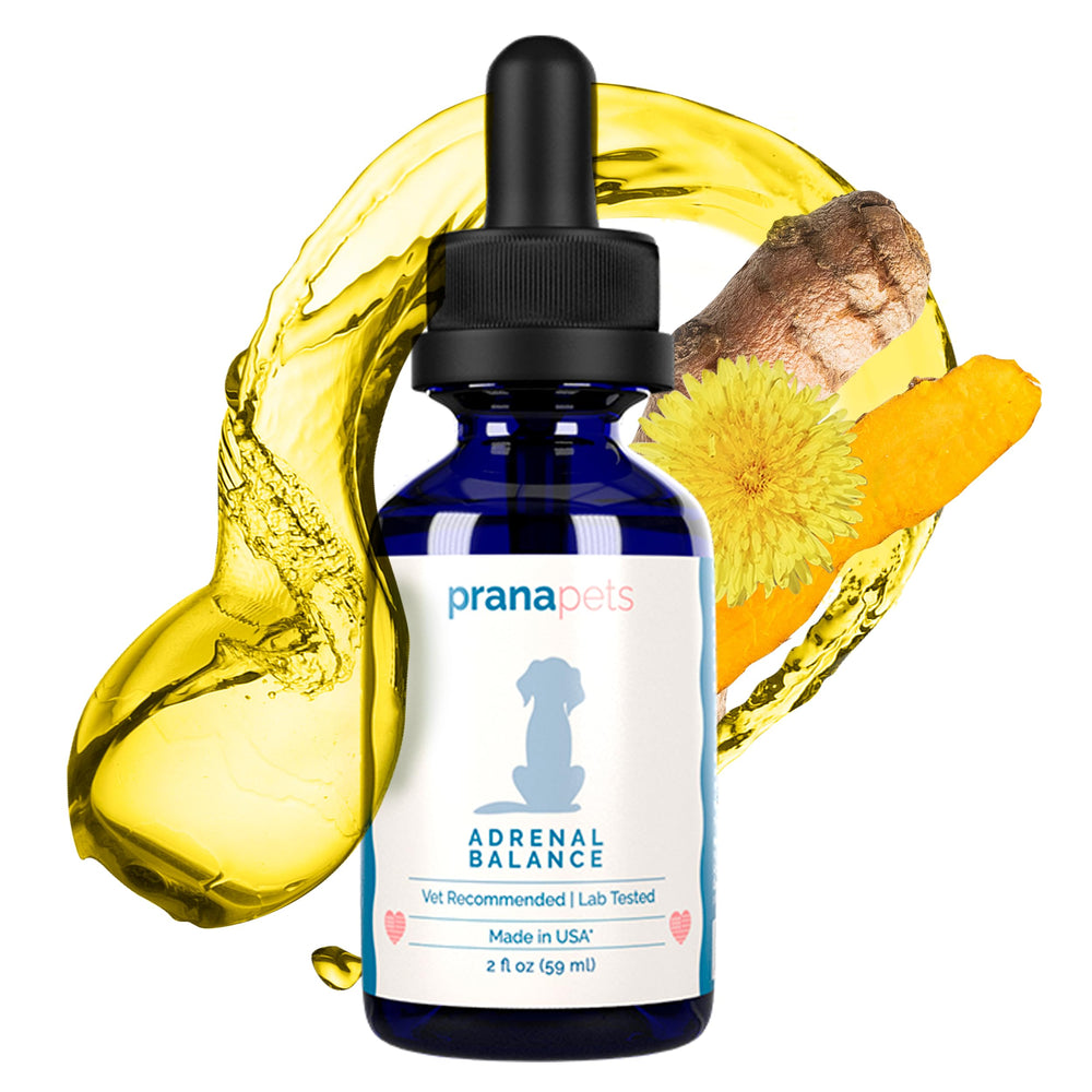 Botella de PranaPets Adrenal Balance para uso diario canino.