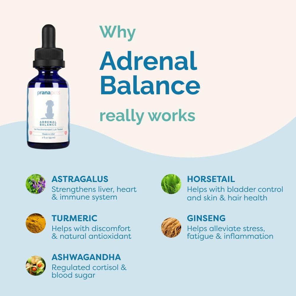 PranaPets Adrenal Balance, mezcla comida húmeda — incorporación fácil en la dieta.