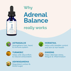 PranaPets Adrenal Balance, mezcla comida húmeda — incorporación fácil en la dieta.