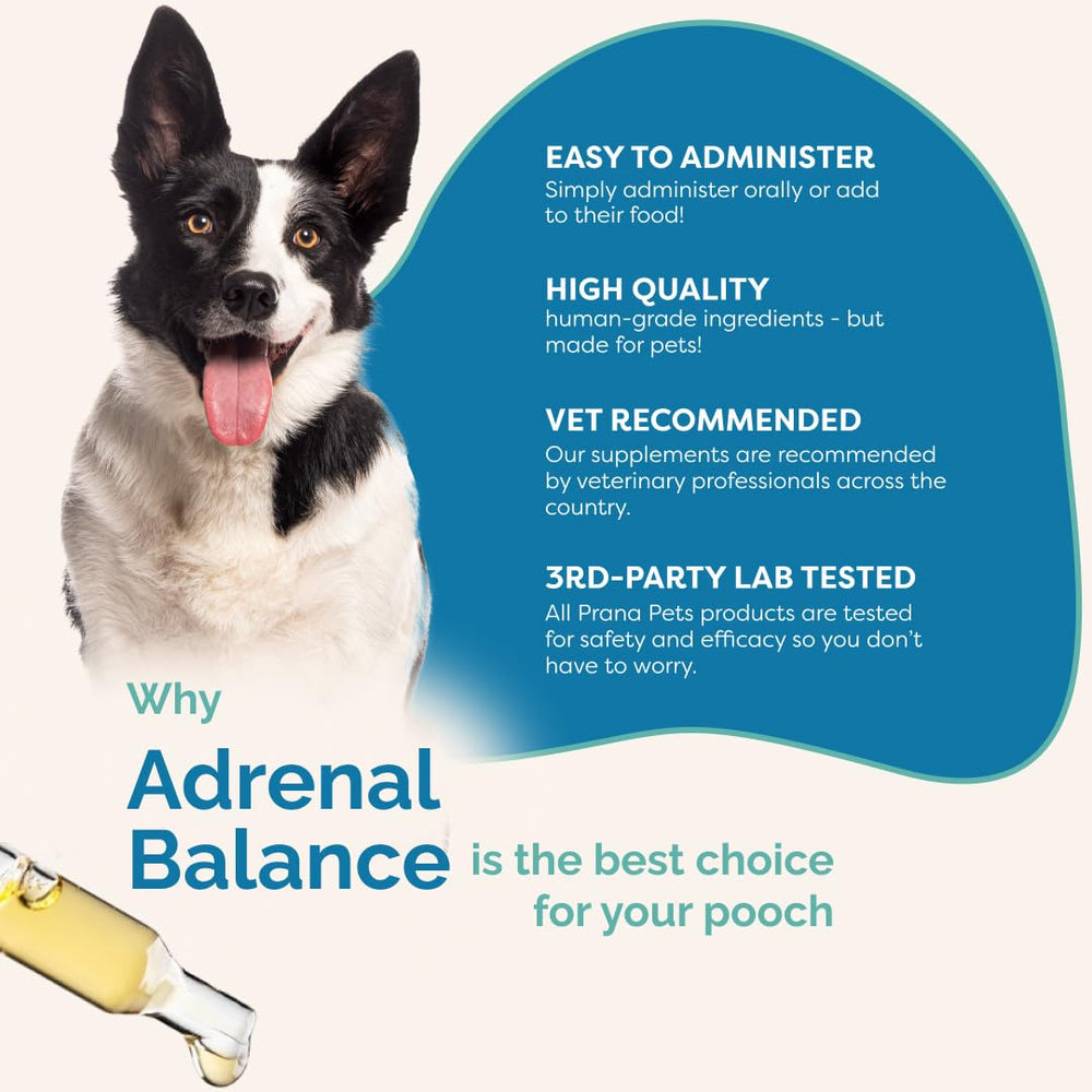 PranaPets Adrenal Balance, mezcla comida seca — integrada en la ración diaria.