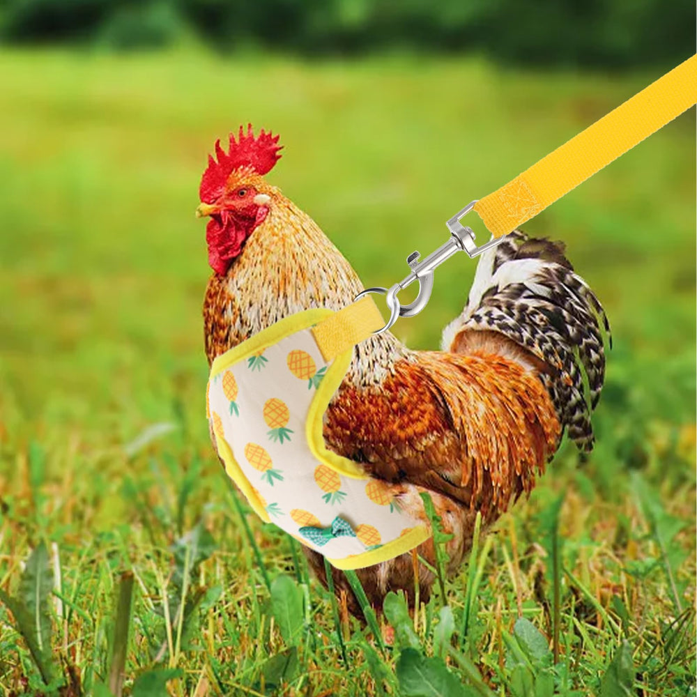 Prasacco usos versátiles, ideal para gallinas, patos y gansos en salidas.