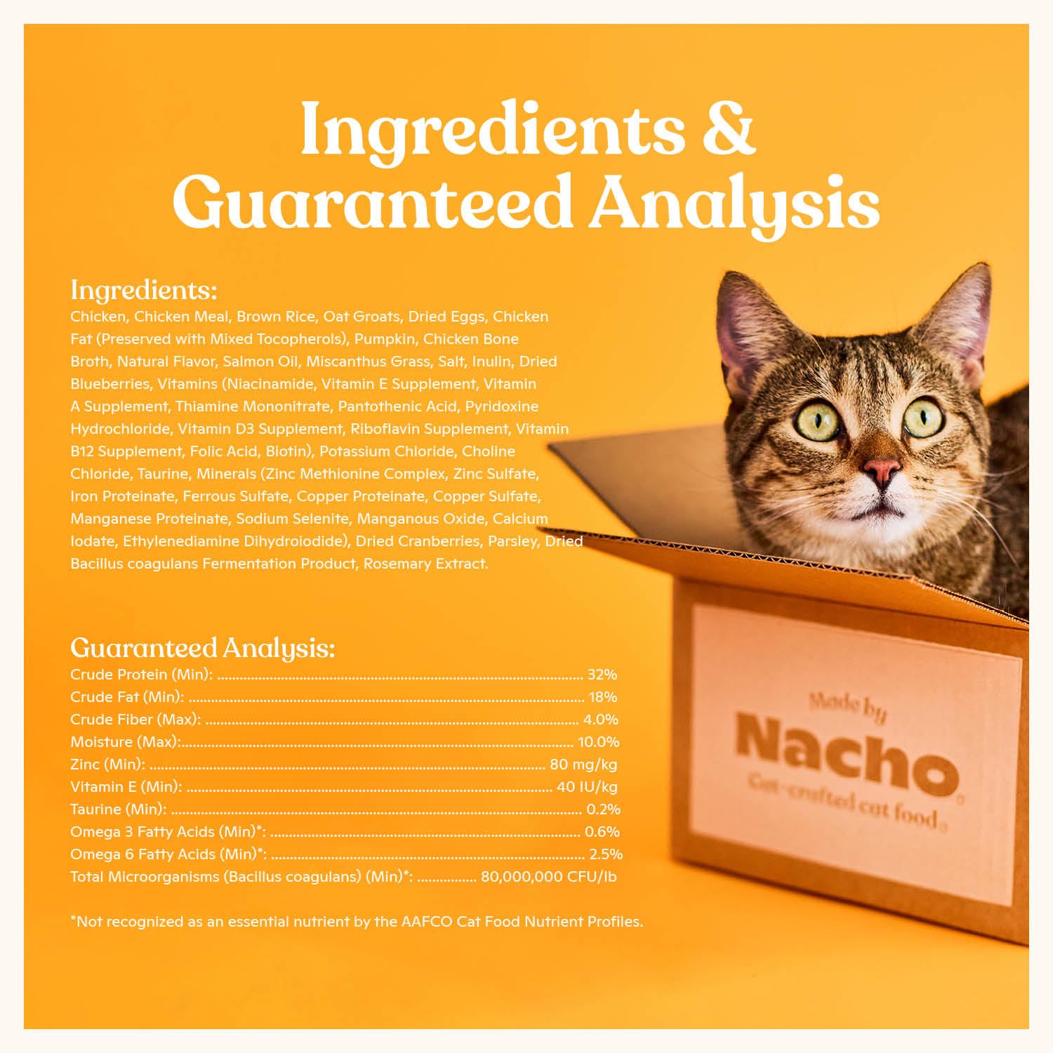 Prebióticos y probióticos de Made by Nacho para digestión saludable.