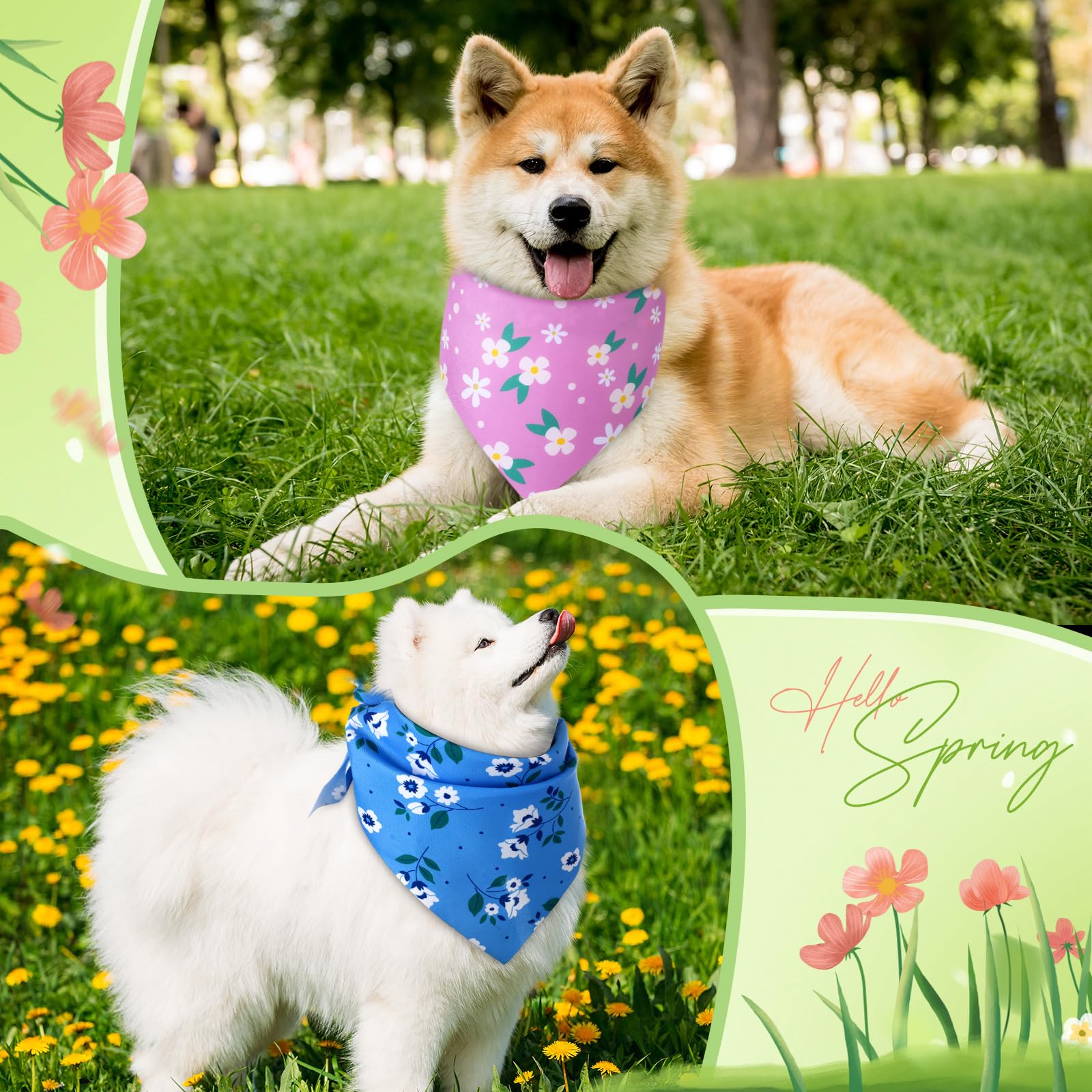 Preboun bandanas para peluquerías y tiendas, regalo ideal para dueños de mascotas.