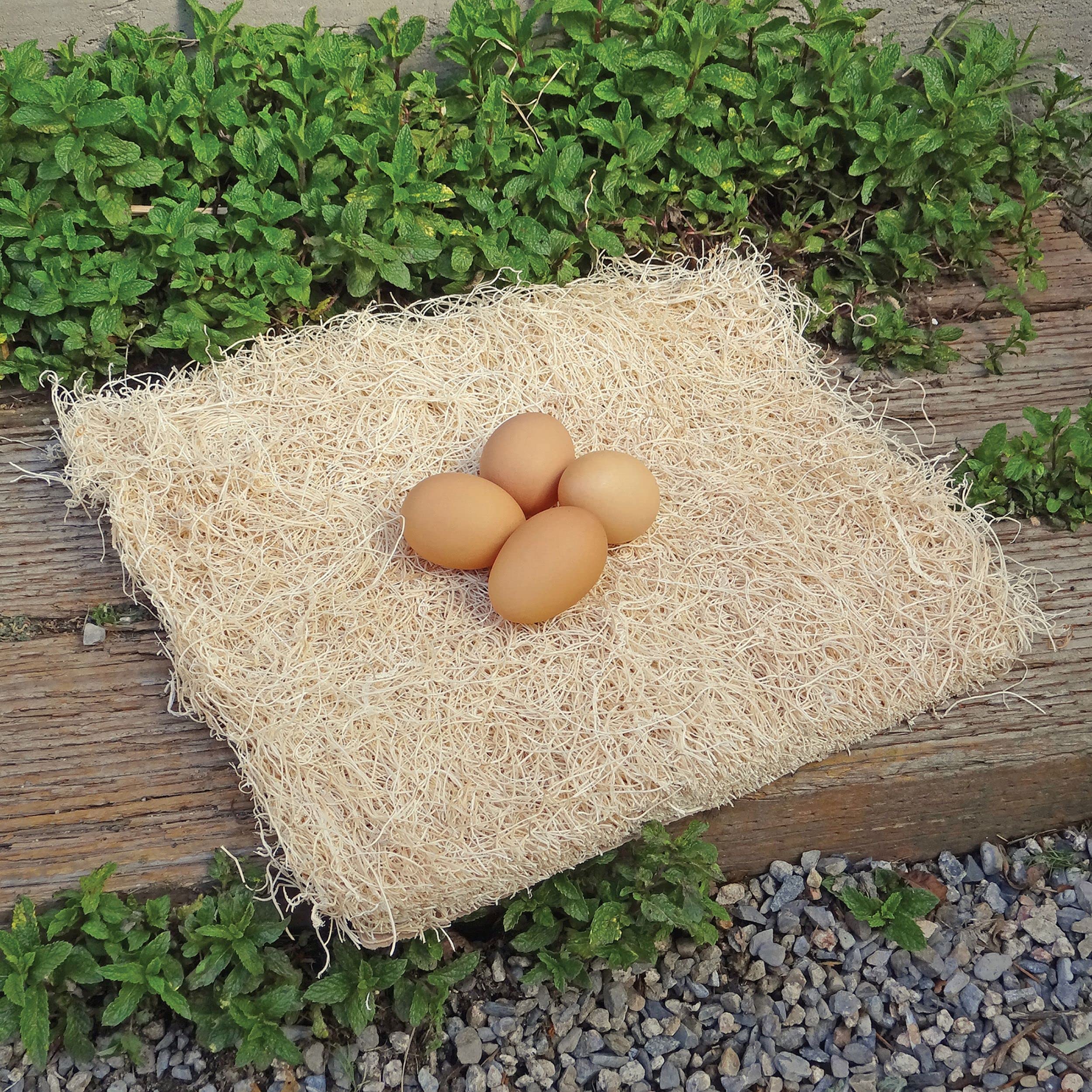 PRECISION PET – almohadilla nido compatible con cajas, fácil uso