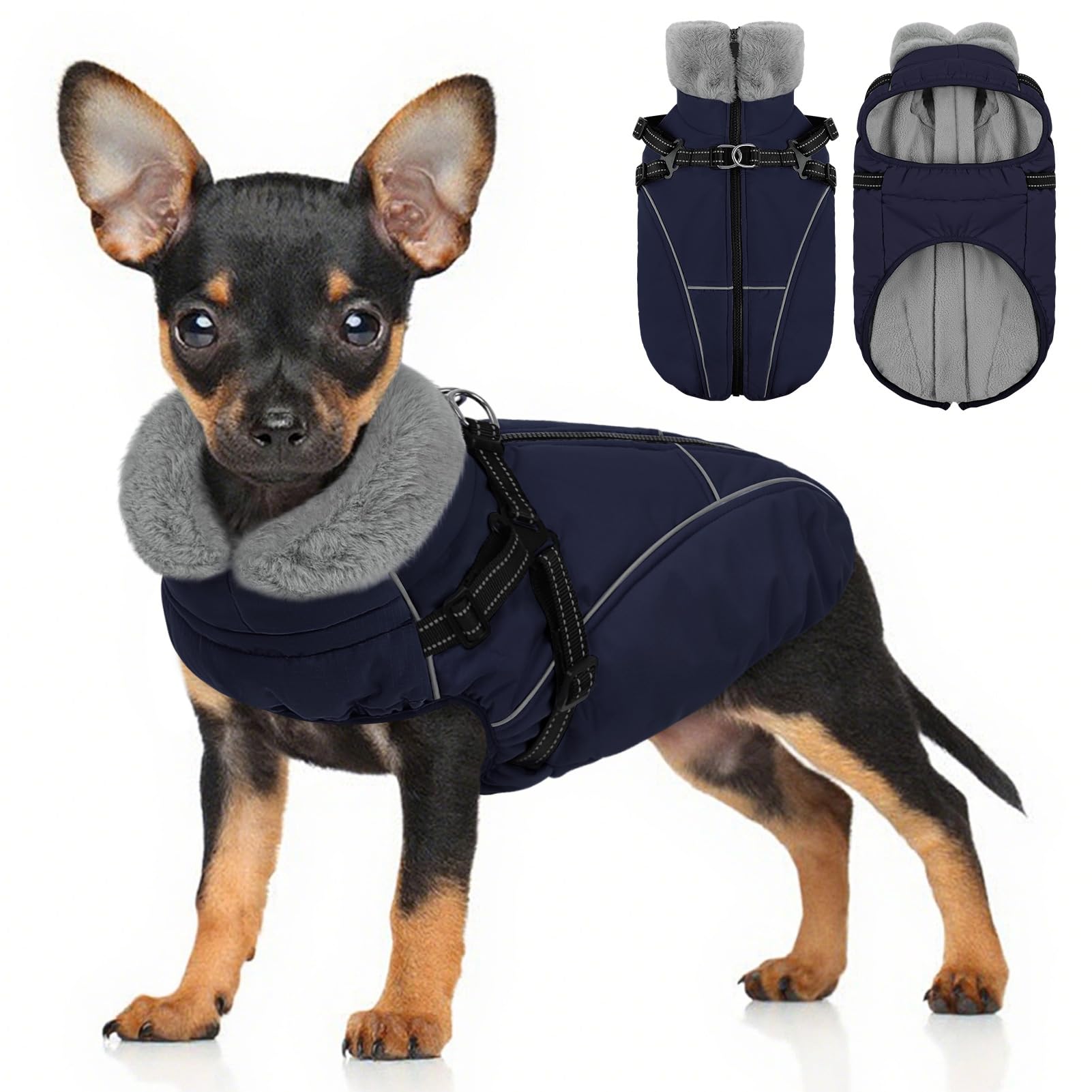 Preferhouse cazadora para perro pequeño con arnés incorporado, comodidad y seguridad para paseos diarios.