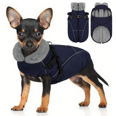 Preferhouse cazadora para perro pequeño con arnés incorporado, comodidad y seguridad para paseos diarios.
