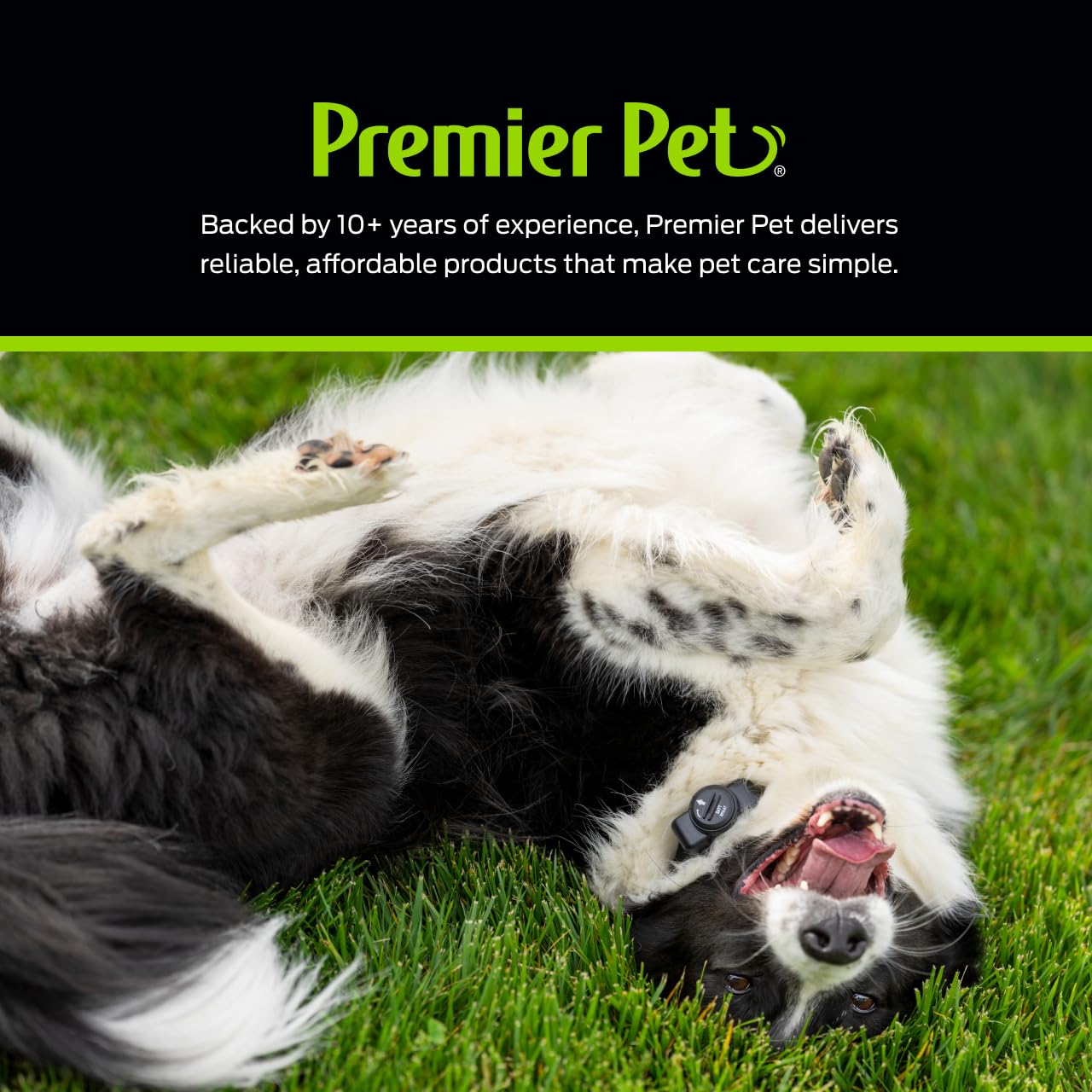 Diseño resistente Premier Pet: collar de expansión para uso diario.