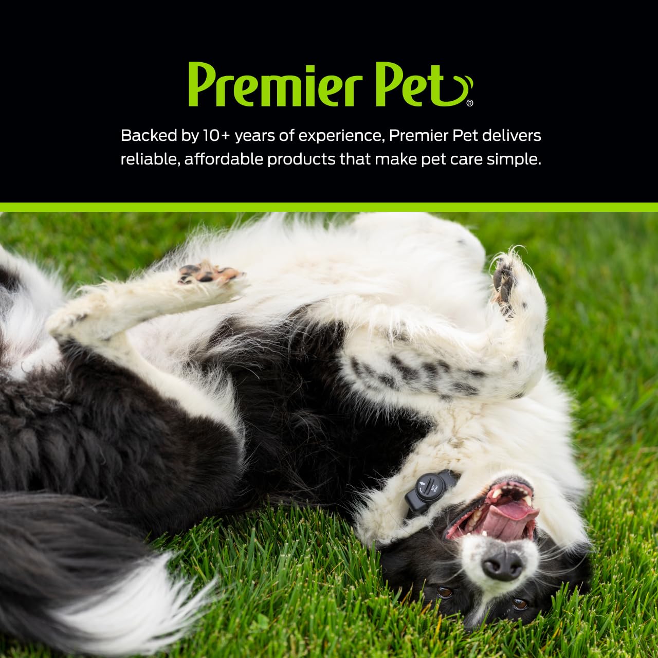 Indicador de batería Premier Pet: mantenimiento sencillo para continuidad.