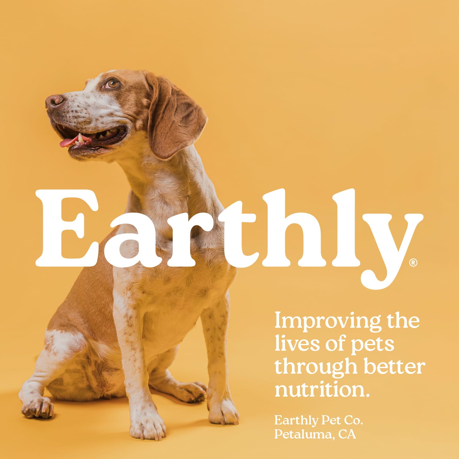 Presidio Earthly Pill Buddy daily-medication use provides a reliable hide-and-treat method