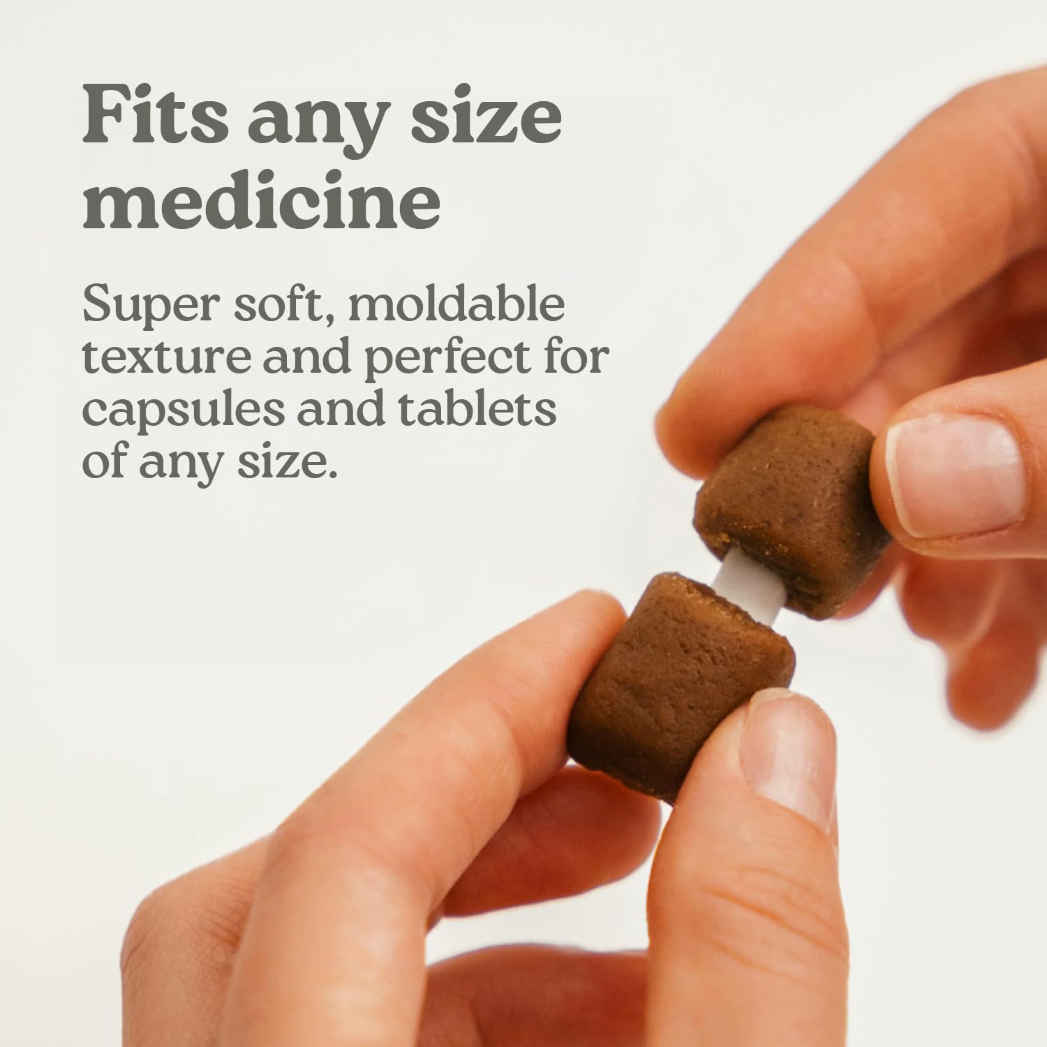 Presidio Earthly Pill Buddy picky eater approved masks scent and taste of medicine