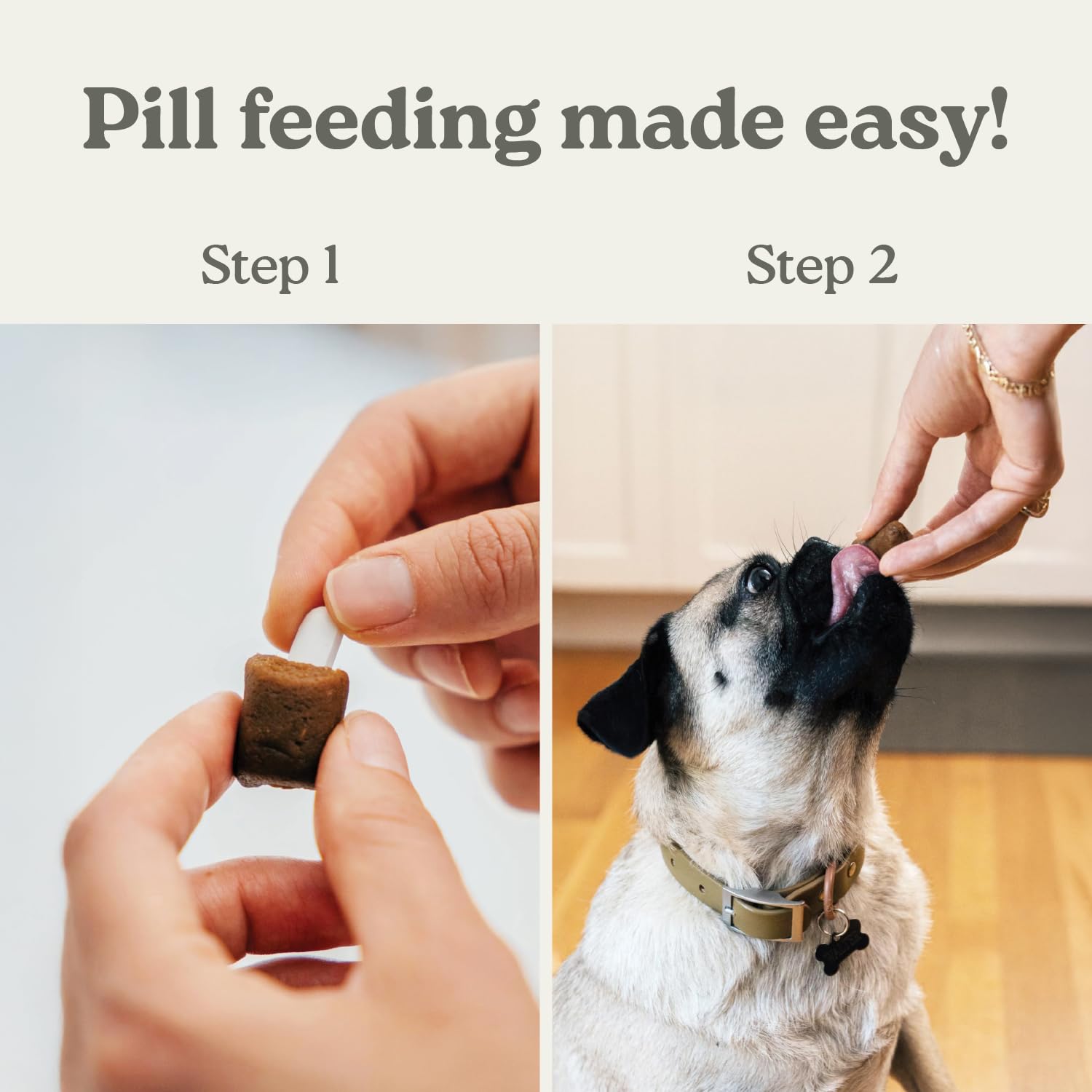 Presidio Earthly Pill Buddy travel pack keeps meds convenient on the go