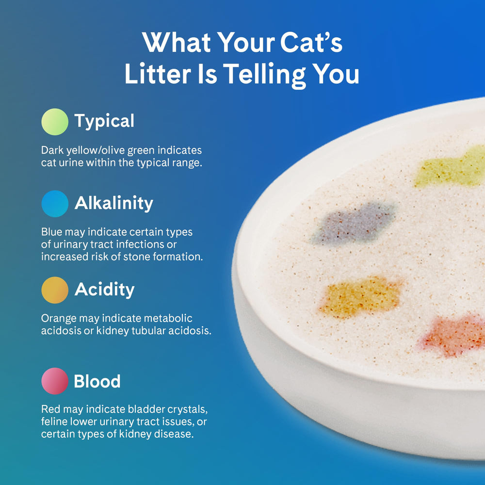 PrettyLitter duración de un mes por gato con cada bolsa