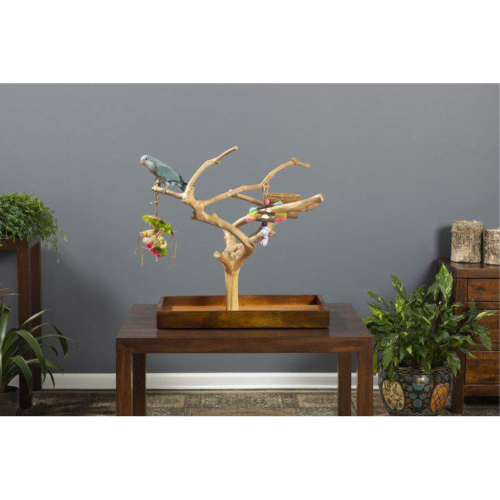 PH Prevue Hendryx Coffeawood Java Tree Minis, base estable para mesa sin rayar muebles