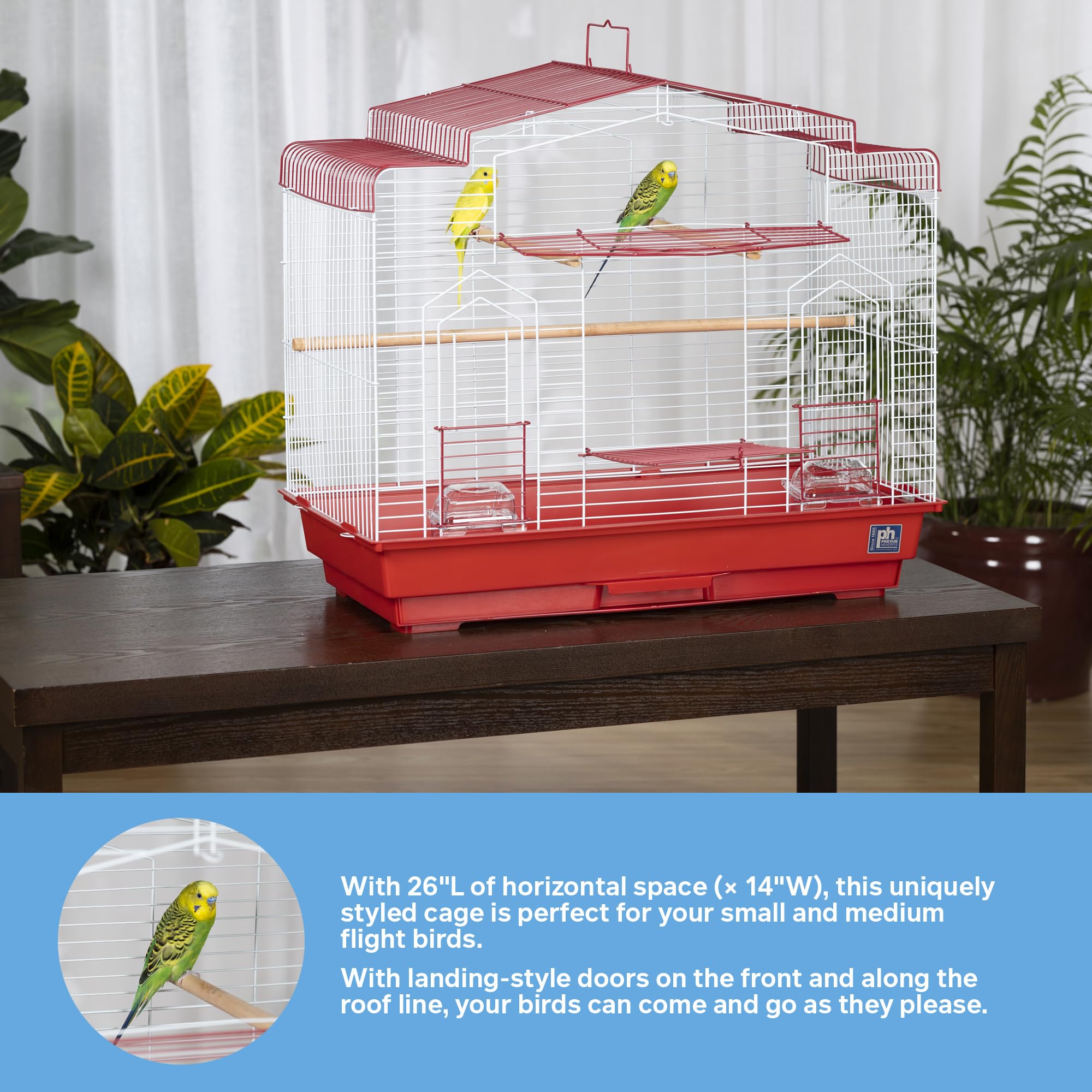Espaciado de rejas de 1/2 pulgada para aves pequeñas