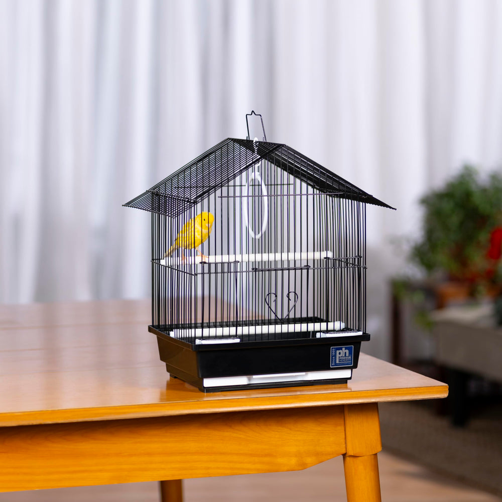 Parakeet Manor de Prevue: columpio y perchas para entretenimiento y descanso