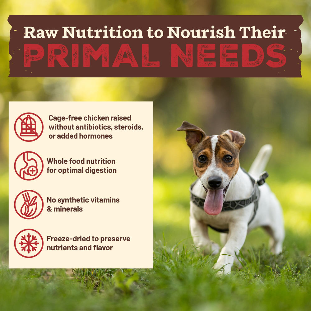 Primal Kibble en Crudo: kale orgánico aporta nutrientes y fibra.