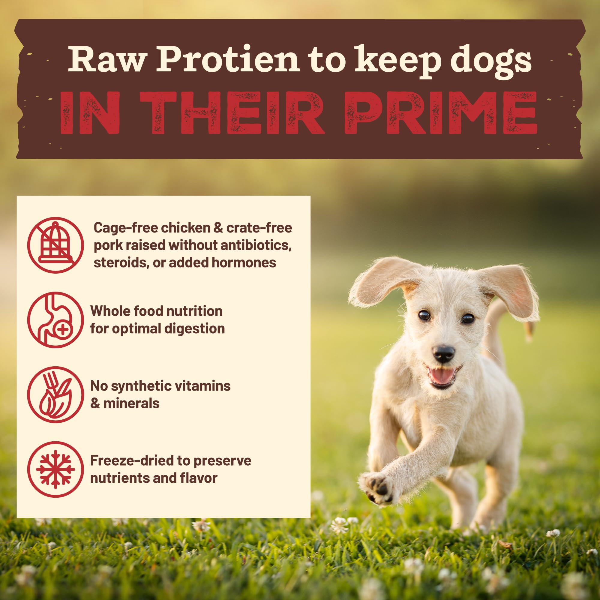 Primal Kibble en Crudo: trozos crudos liofilizados listos para disfrutar
