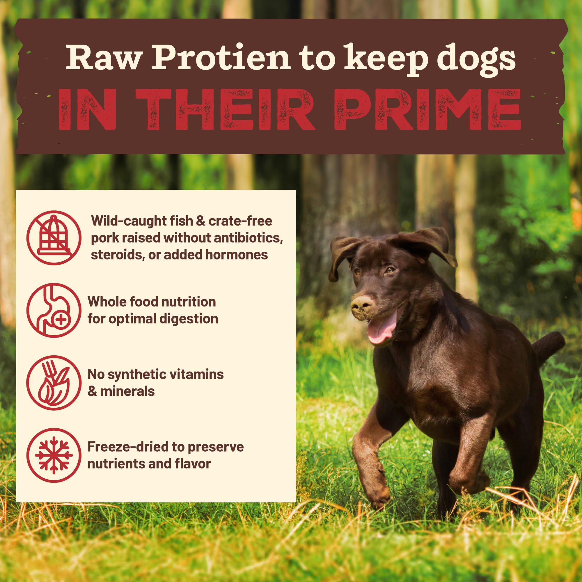 Primal Kibble in the Raw con cerdo sin jaula, proteína premium para perros.