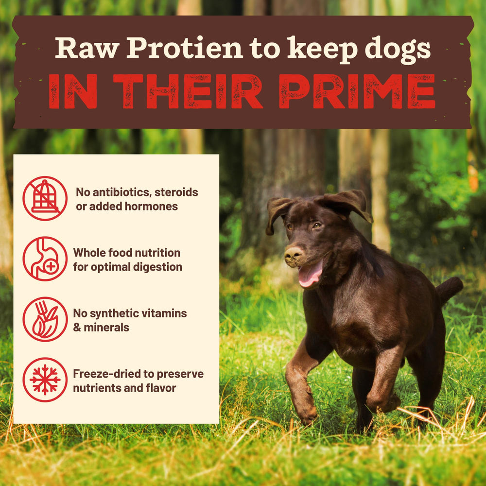 Primal Kibble in The Raw, proteína cruda de pollo para músculos magros.