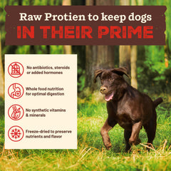Primal Kibble in The Raw, proteína cruda de pollo para músculos magros.