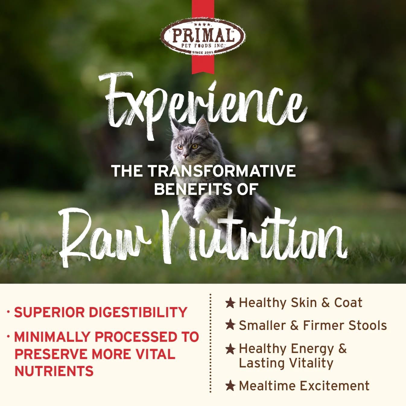 Primal Kibble ingredientes enteros: zanahoria para fibra y nutrientes naturales