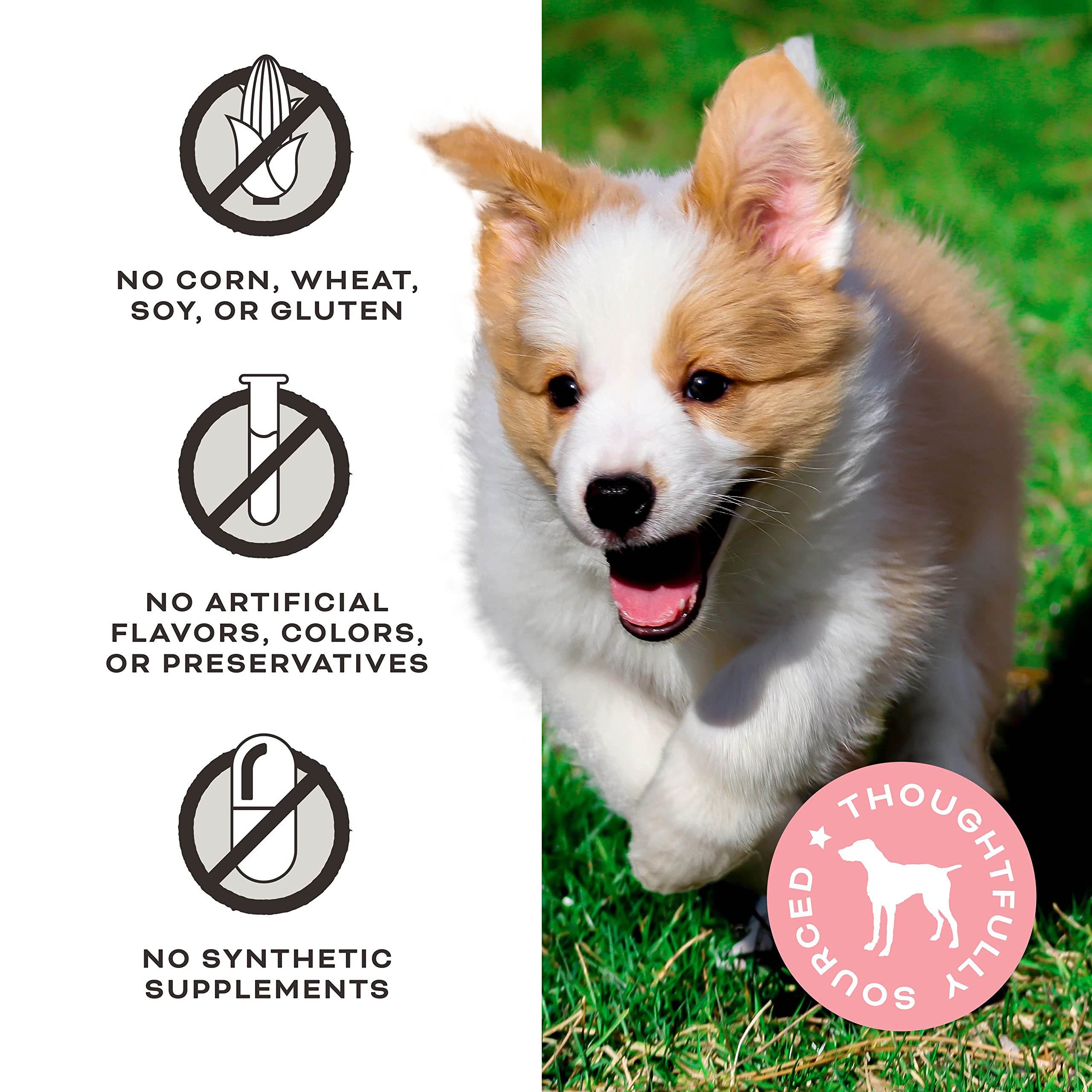 Primal Pet Foods tamaño pequeño: ideal para entrenamiento y premiar.