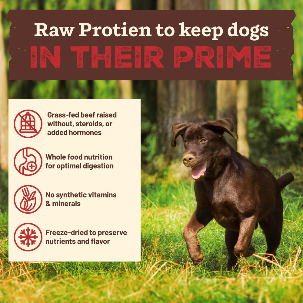 Primal Pet Foods ternera-res-pastura-cruda ofrece proteína natural.