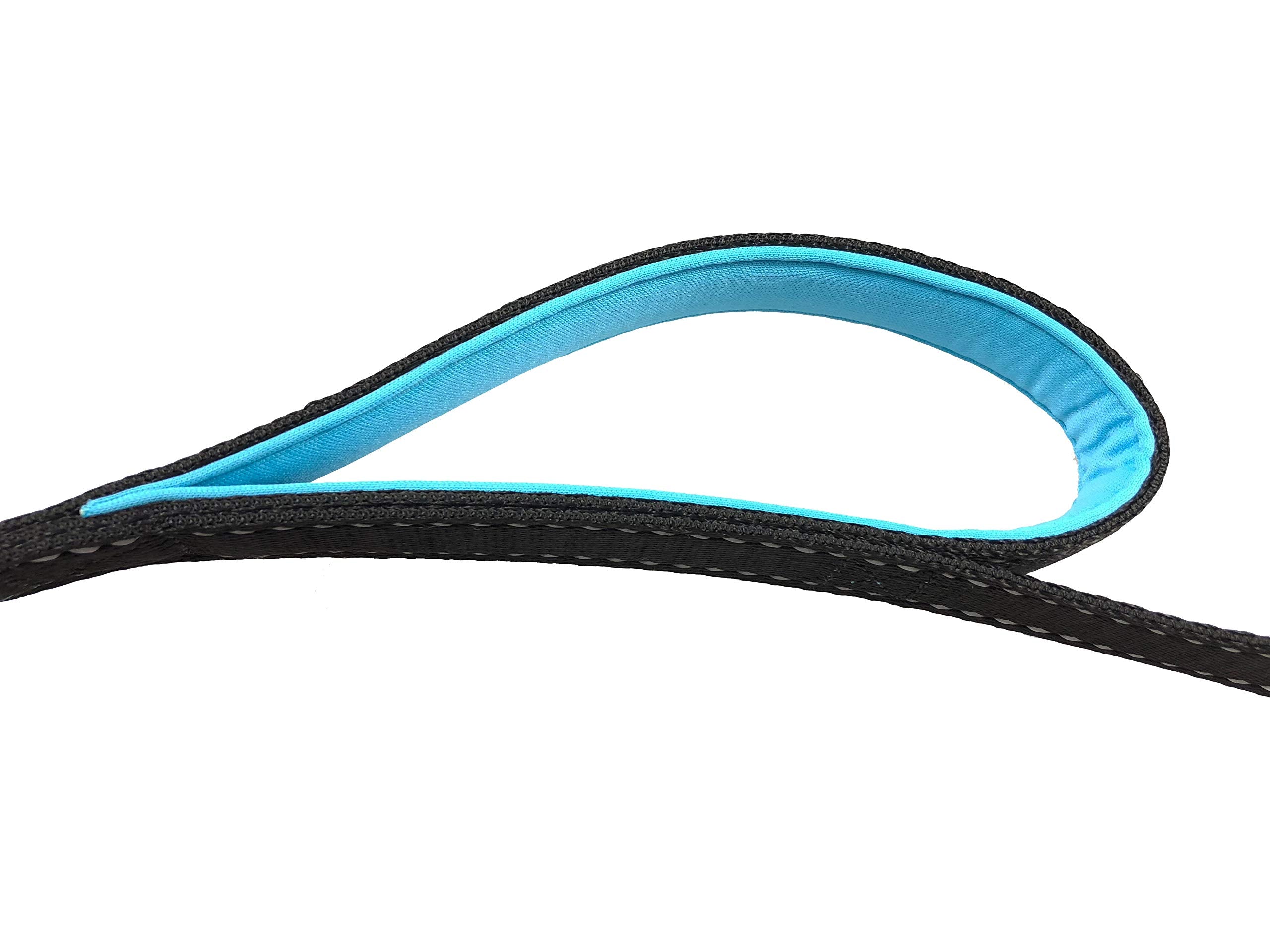 Correa Primal Pet Gear ideal para entrenamiento y control durante caminatas