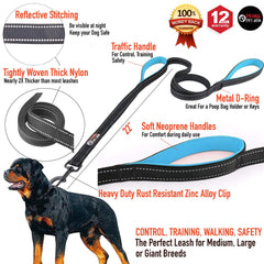 Correa Primal Pet Gear con costuras reflectantes para mayor visibilidad nocturna