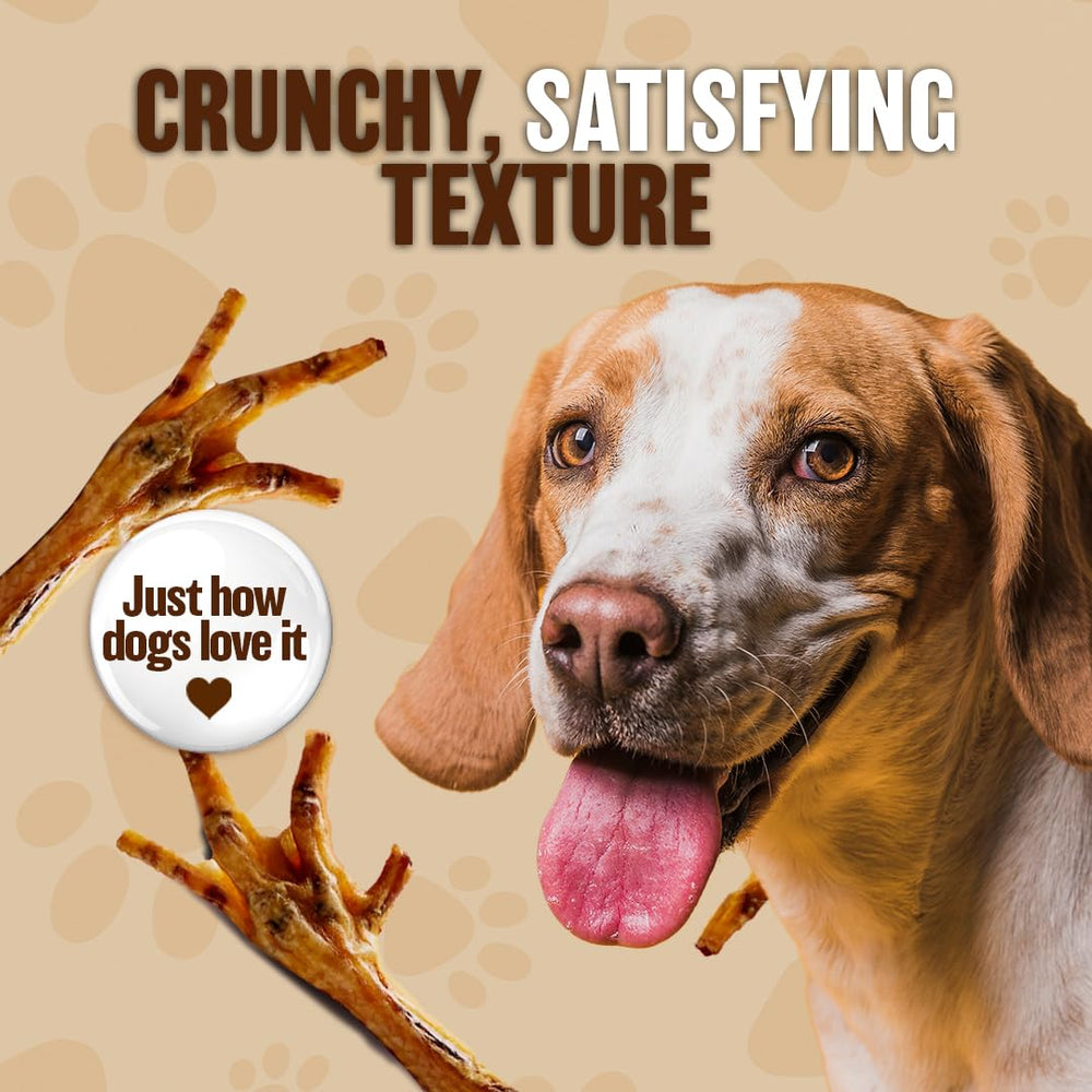 The Primal Theory ideal para perros de todas las edades como snack entre comidas.