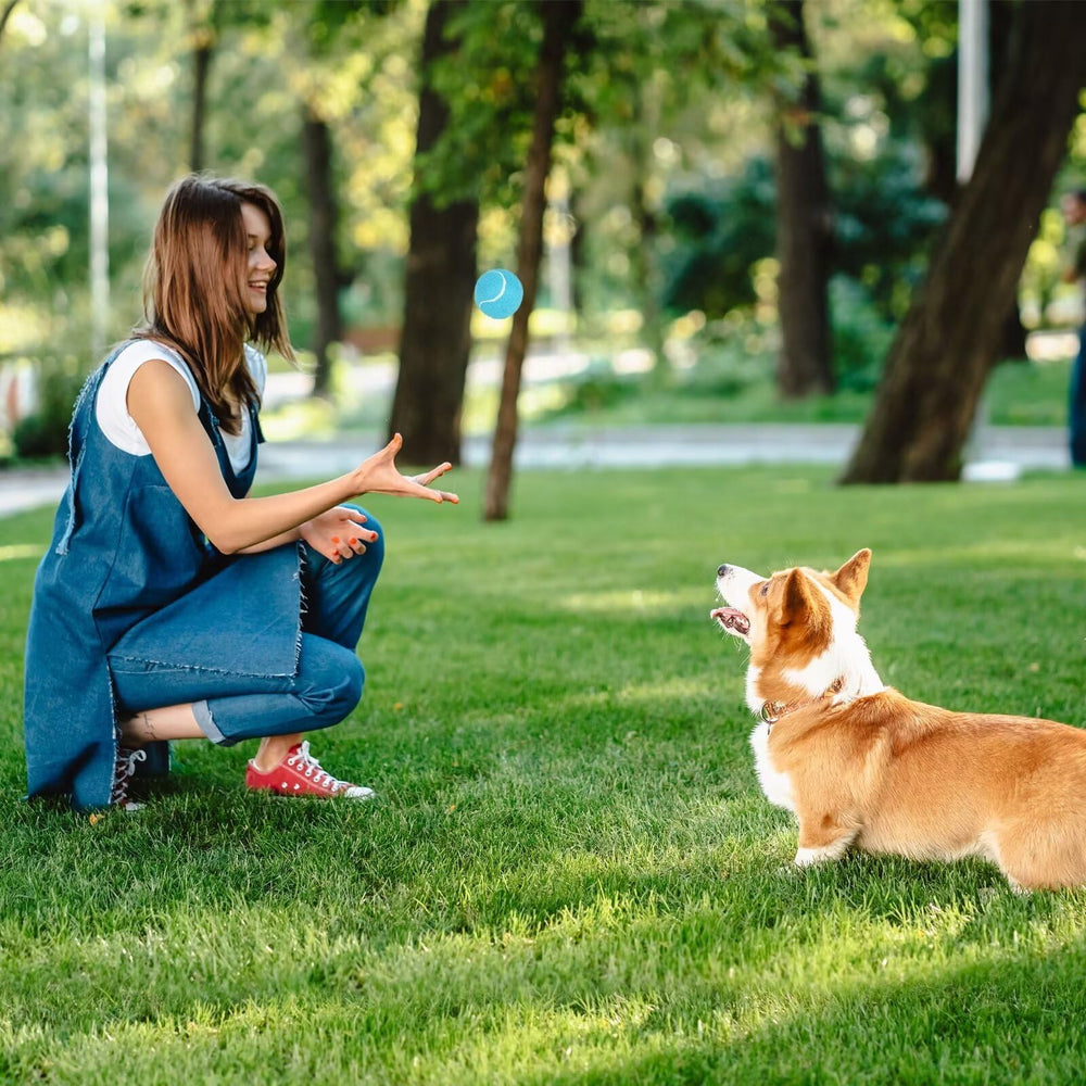 Prime Pets bolas-tenis-perro-fieltro-ruido-bajo protege suelos.