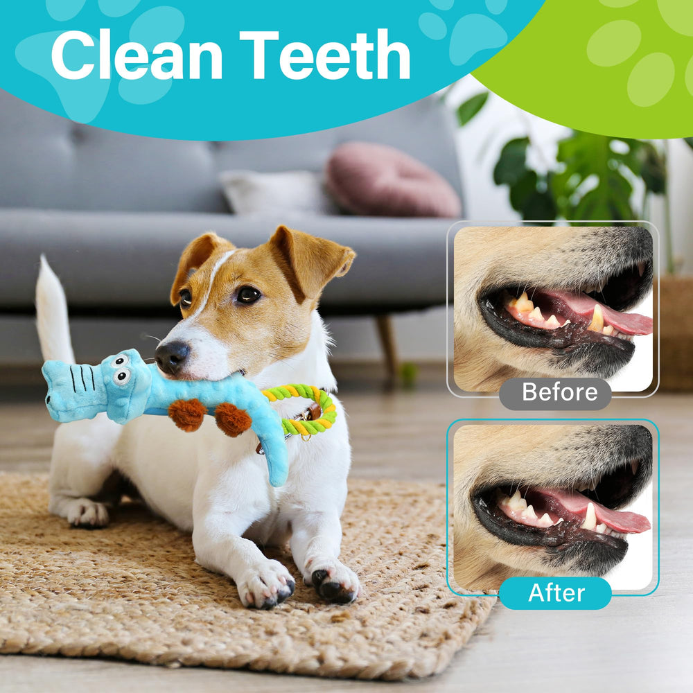 Juego de tirón con cocodrilo Prime Pets para fortalecimiento de vínculo.