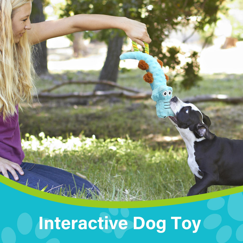 Cuerda resistente Prime Pets para tirones y juegos entre perro y dueño.