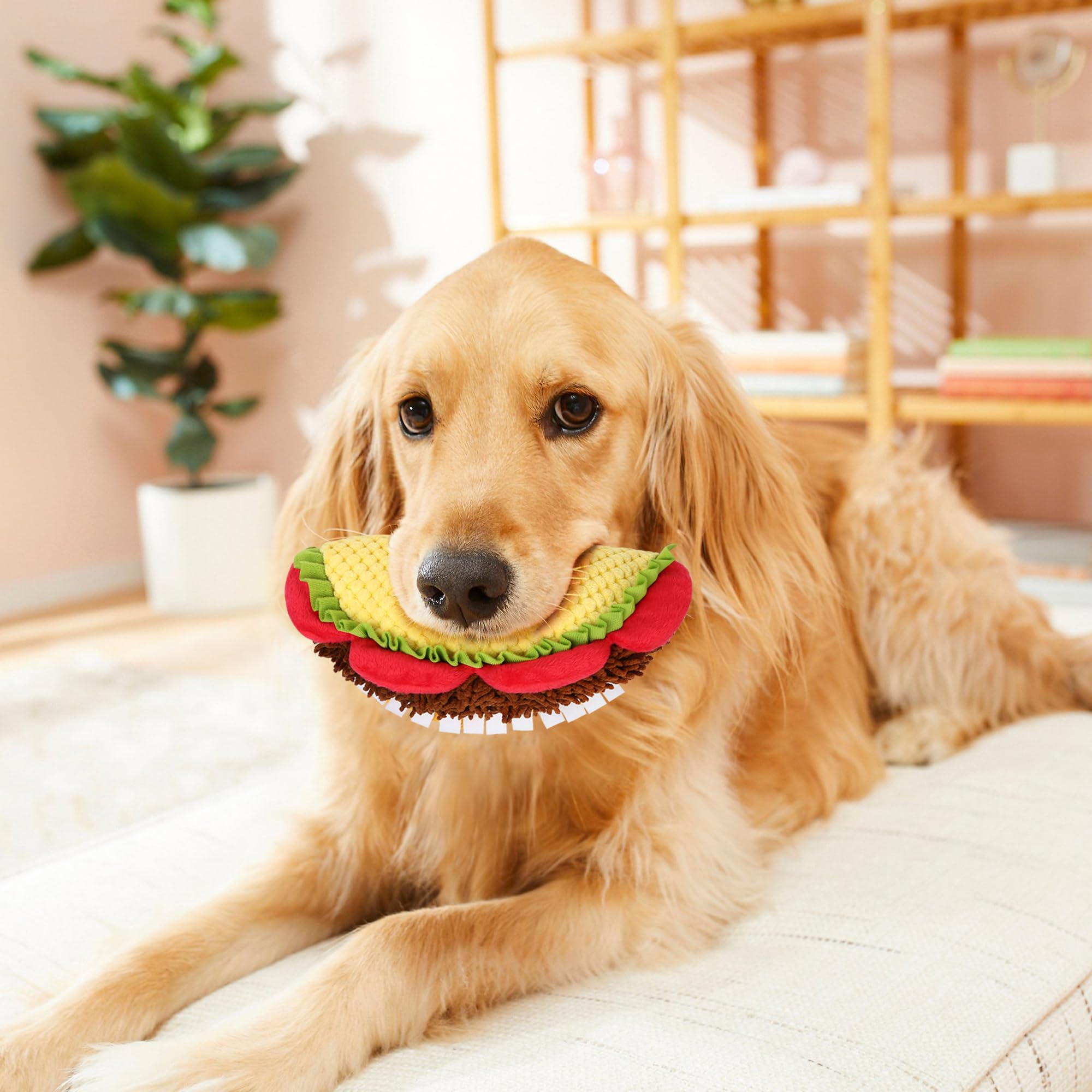 Prime Pets taco de peluche, diseño suave para sesiones de juego