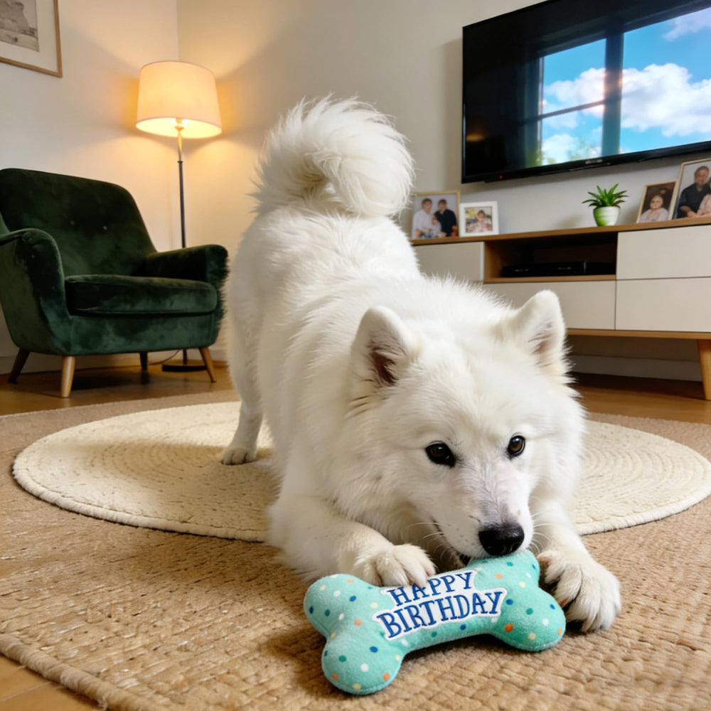 Prime Pets regalo ideal para fiestas caninas y cumpleaños de perros
