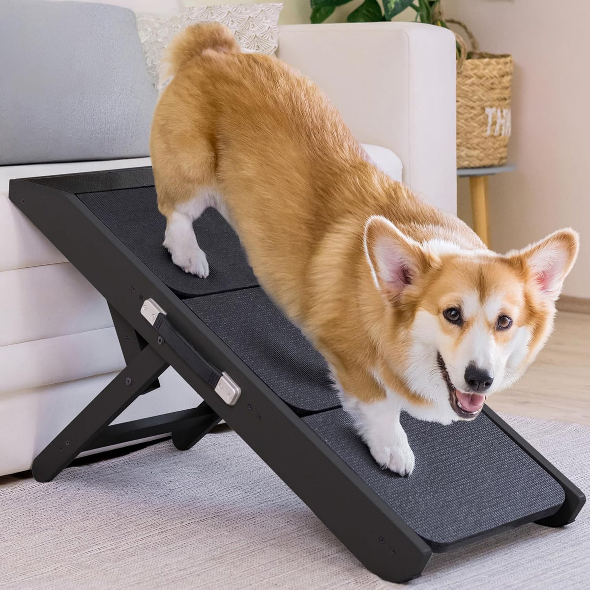 PriorPet rampa para sofá con superficie antideslizante para subir con seguridad