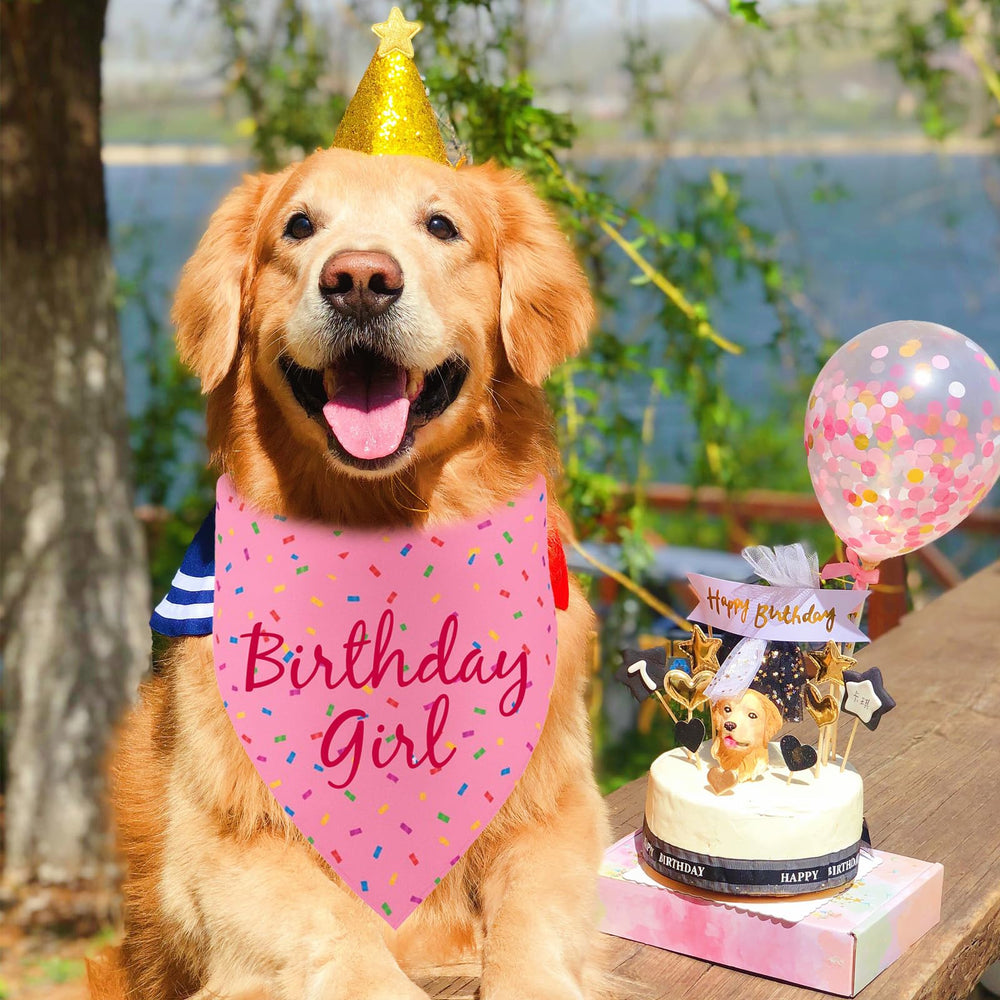 Bandana PRITIWEL rosa para perro, patrón de cumpleaños, ideal como prop de sesión