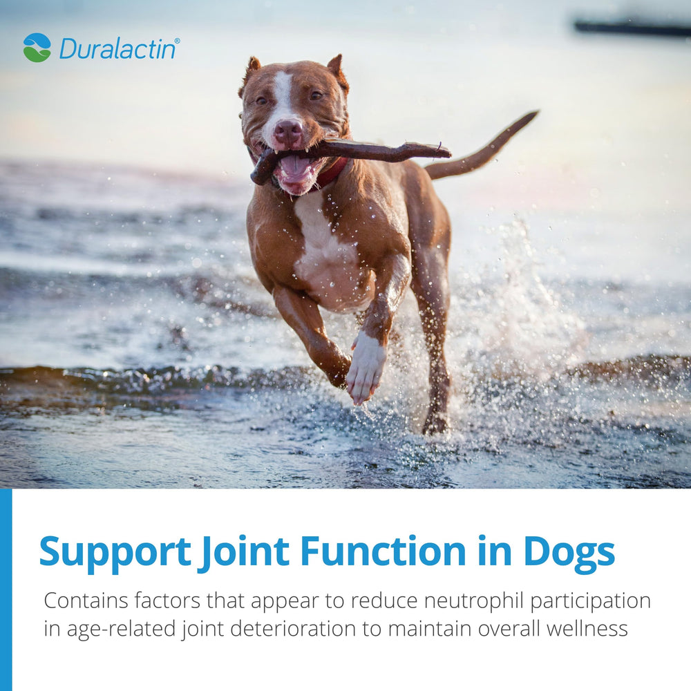 PRN Duralactin Canino: ingredientes glucosamina para articulaciones