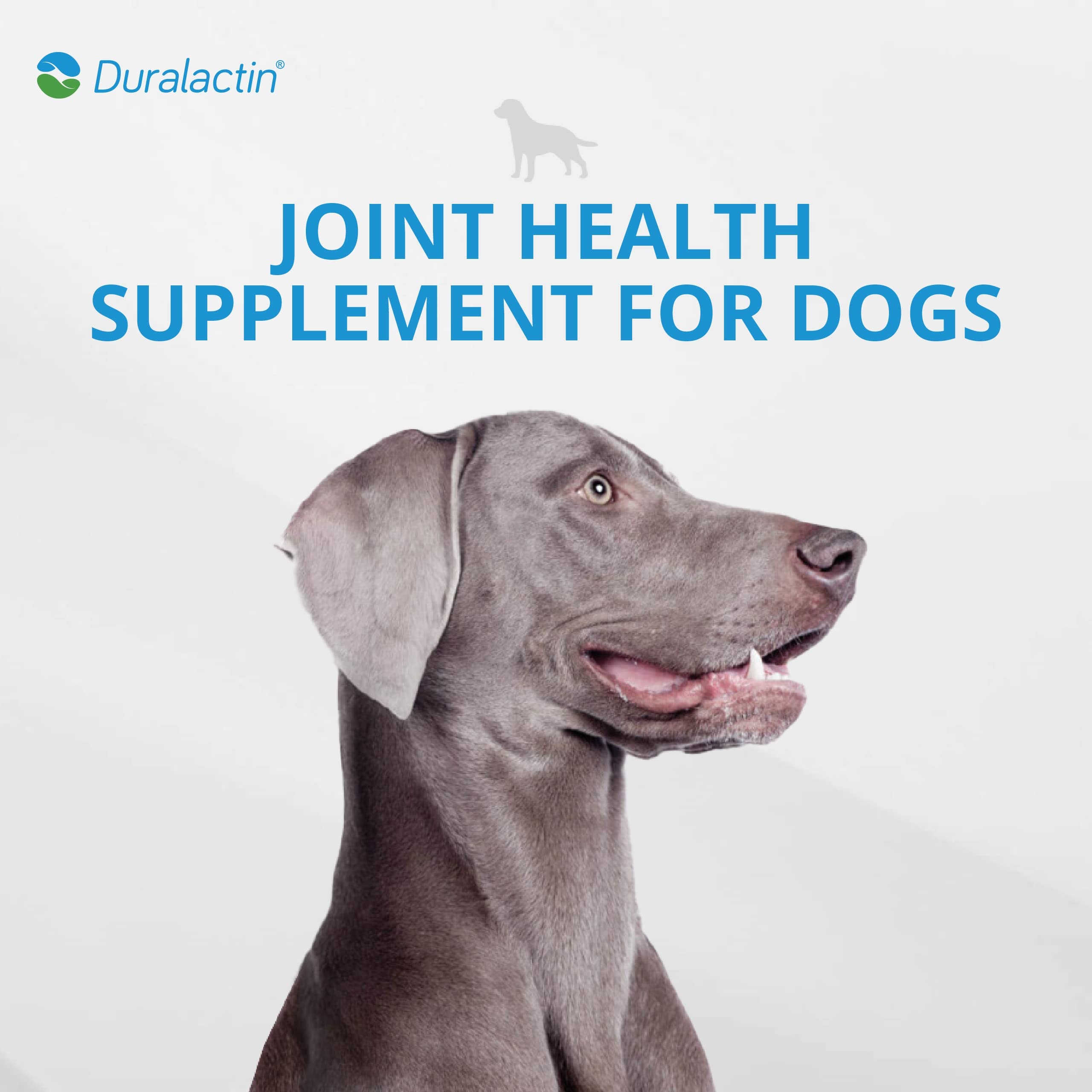 PRN Duralactin tabletas para perro masticables, uso diario.