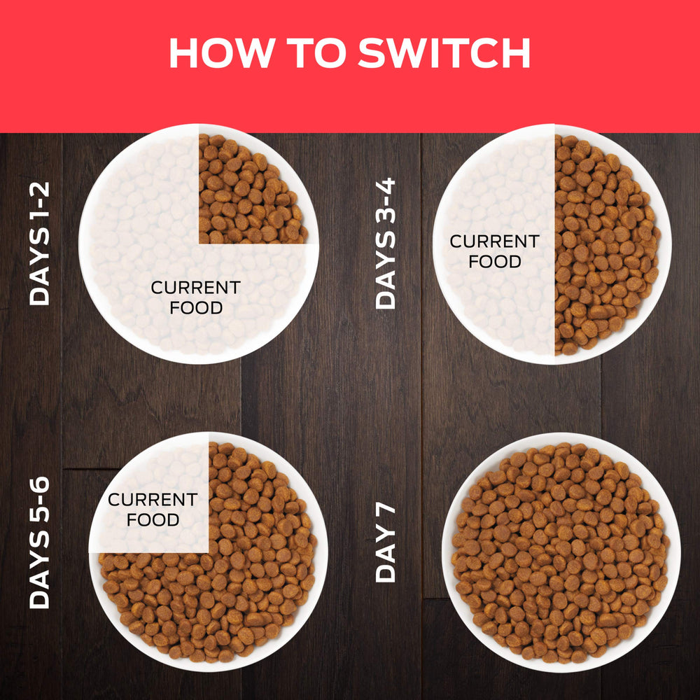 Purina Pro Plan DM Dietetic Management, presentaciones seca y lata disponibles, opciones de dieta.
