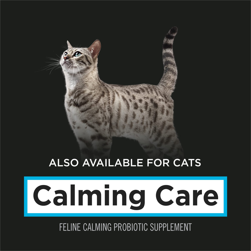 Purina Pro Plan Veterinary Diets Calming Care con beneficio para el corazón durante el estrés