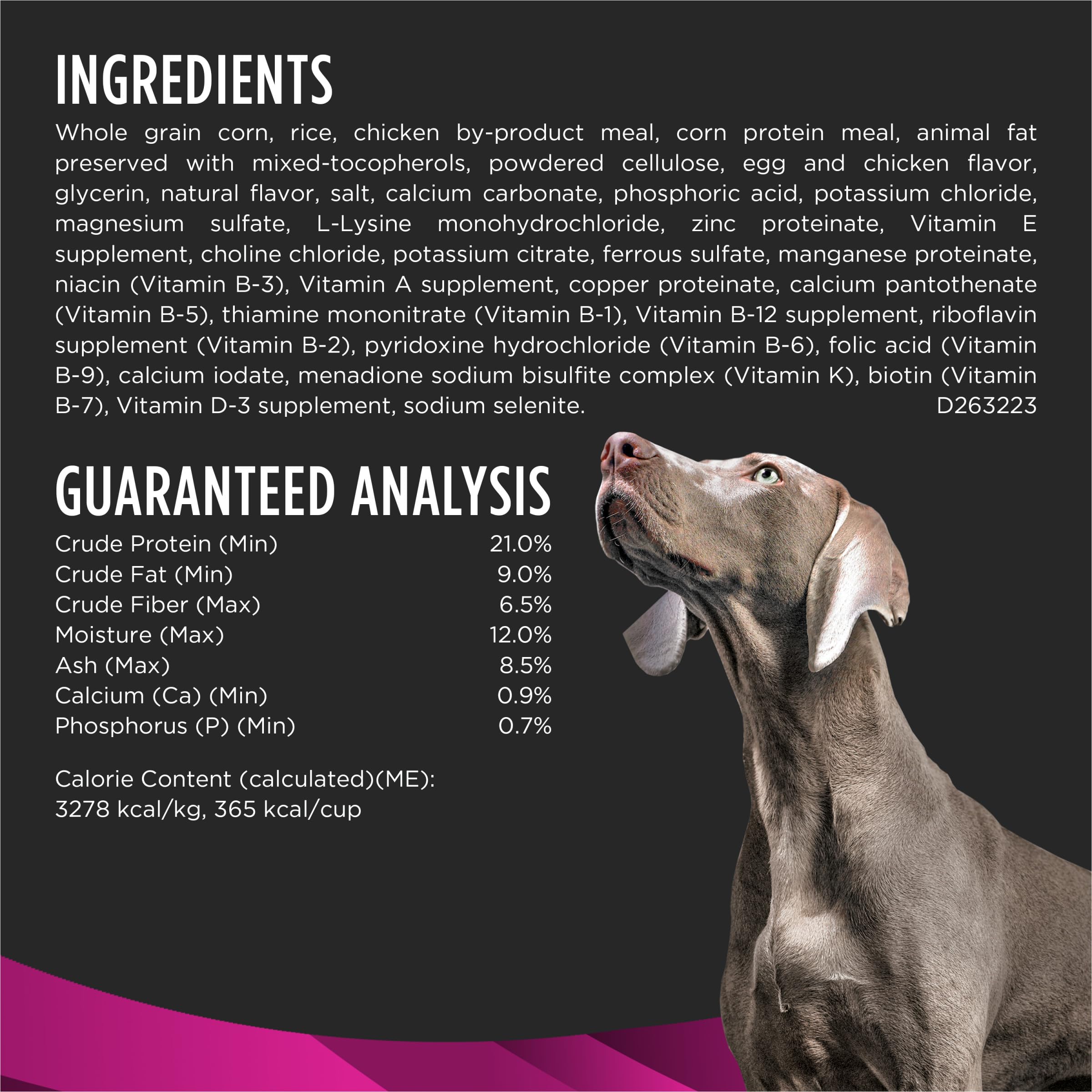 Ingredientes de alta calidad en Pro Plan UR Ox/St para perros adultos