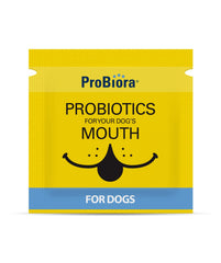 Probiora para perros: cuidado dental diario sin esfuerzo.