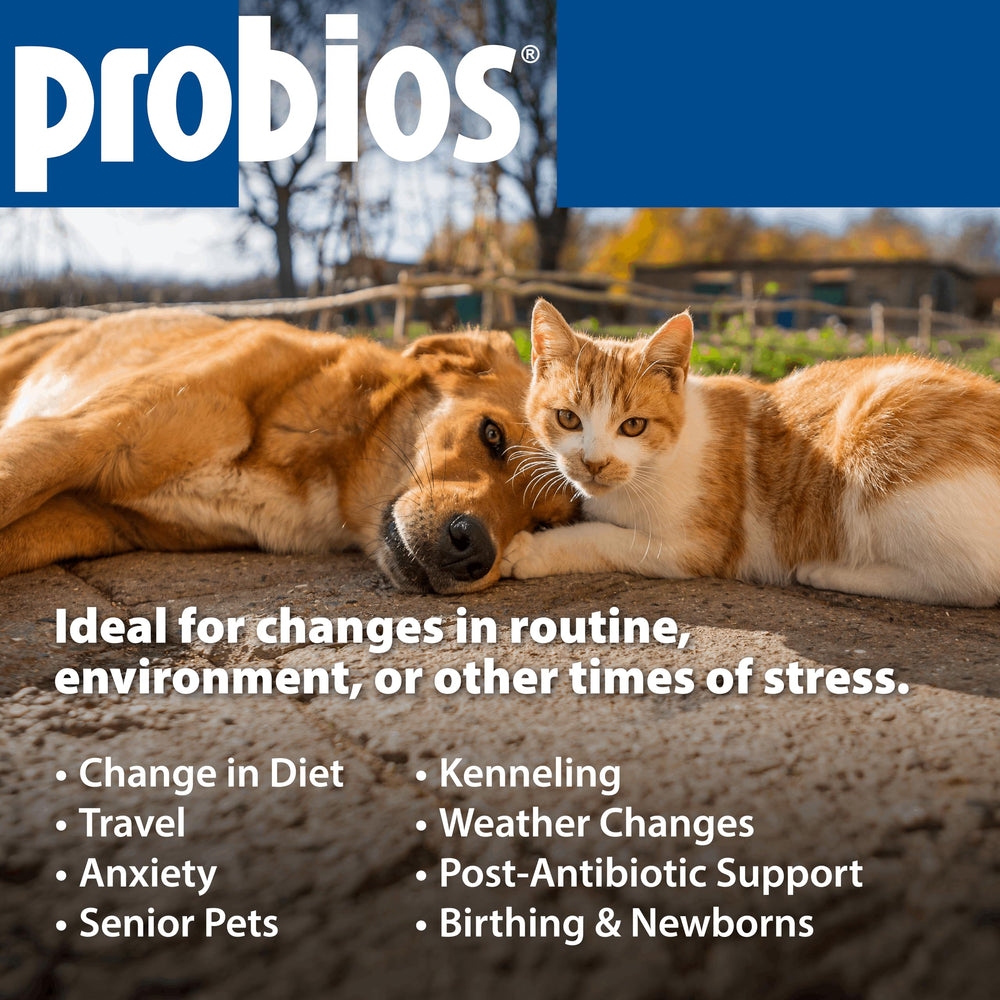Probios Digestive Support tecnología ADEPT mantiene equilibrio microbiano eficaz.