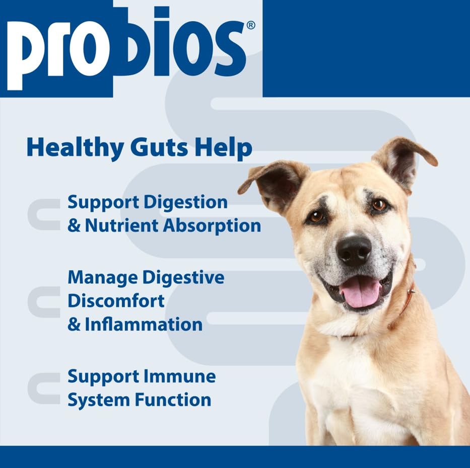 Probios para perros, mezcla multicepas para soporte digestivo.