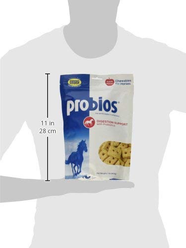 Probios Premios Probióticos para Caballo en destete, sabor manzana.
